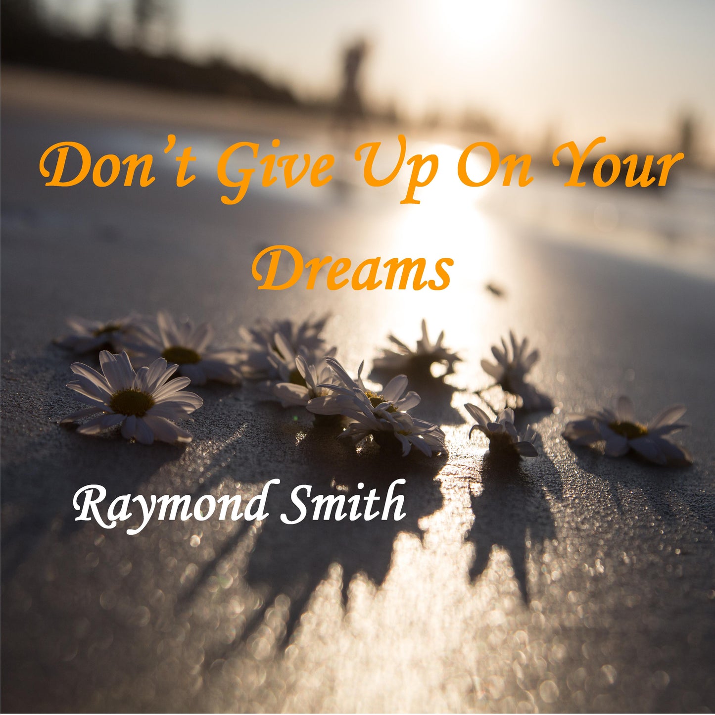 Don't Give Up On Your Dreams